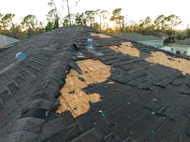 Best Storm Damage Roof Repair  in Mount Carmel, OH