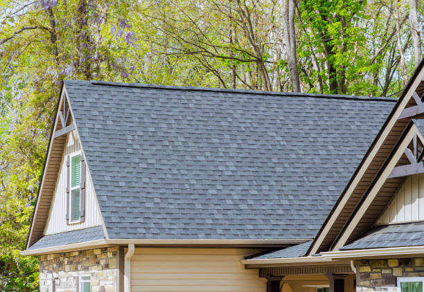 Best Roof Moss and Algae Removal  in Mount Carmel, OH